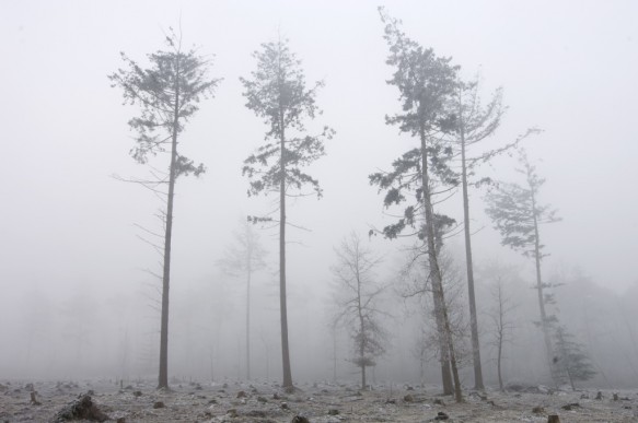 Maldegemveld