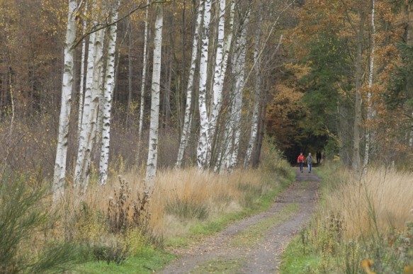 Wandelaars in de natuur.