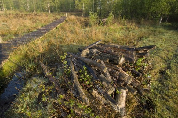 Maldegemveld