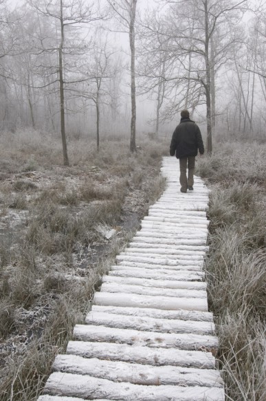 Wandelaar in de natuur.