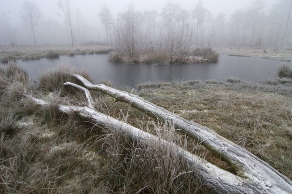 Maldegemveld