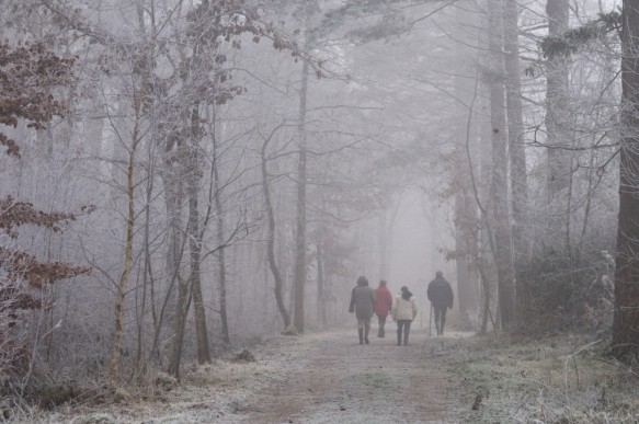 Wandelen in het Maldegemveld.