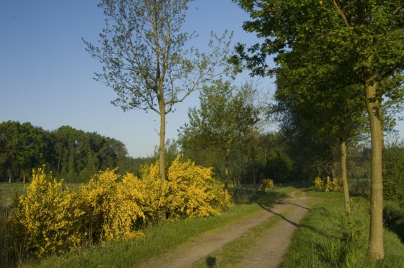 Maldegemveld