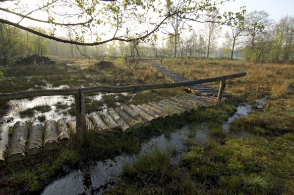 Maldegemveld