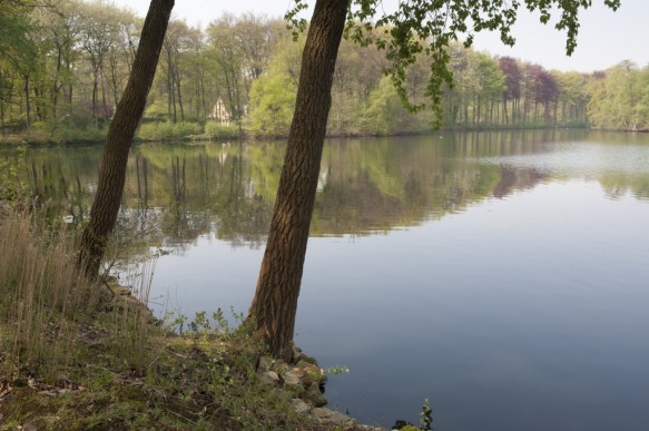 De Kraenepoel.