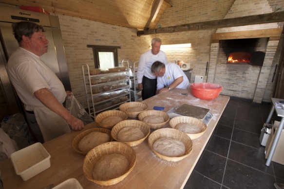 Brood bakken