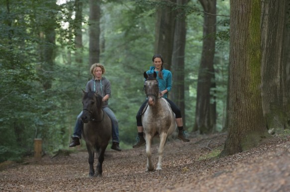 Te paard in het bos