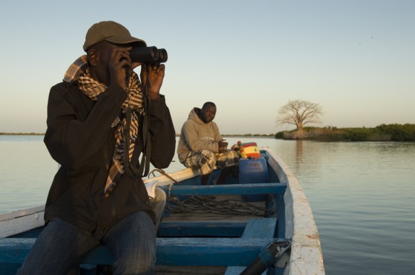 Saloum delta te Senegal