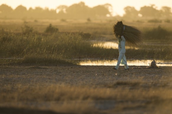 Senegal