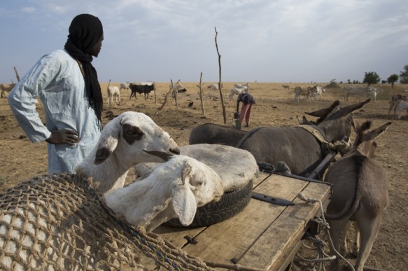 Senegal