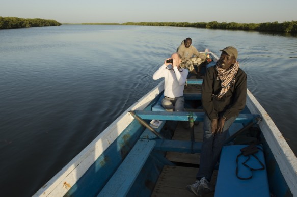 Saloum delta