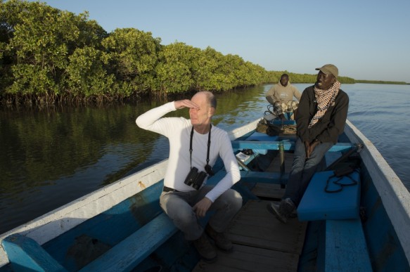 Vogels observeren in Senegal