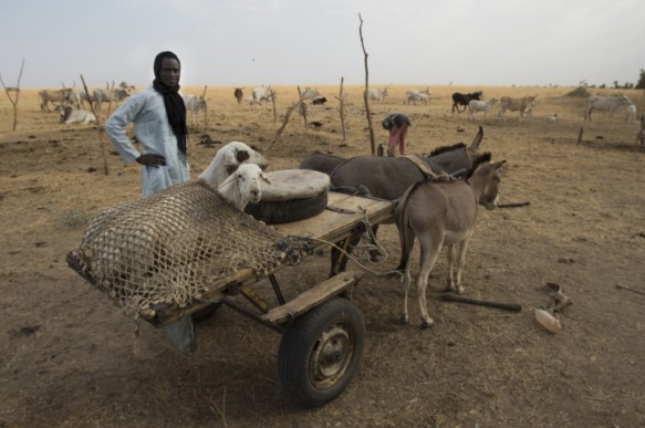 Senegal