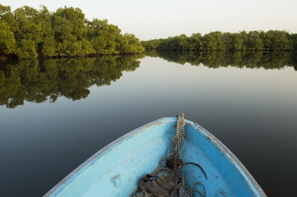 Saloum delta