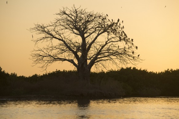 Senegal