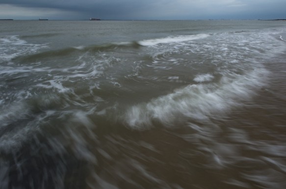 Westerschelde