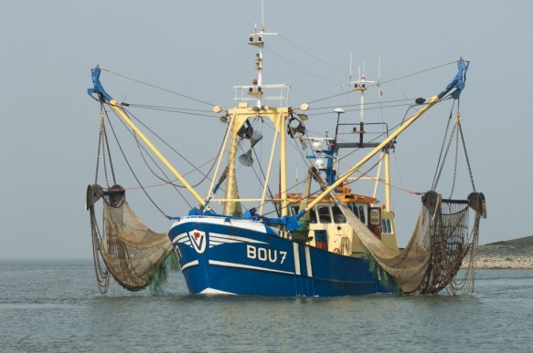Vissersboot op de Westerschelde
