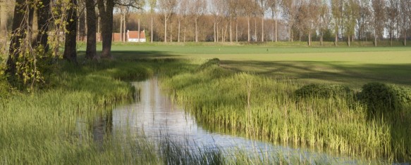 Kreek in Assenede.
