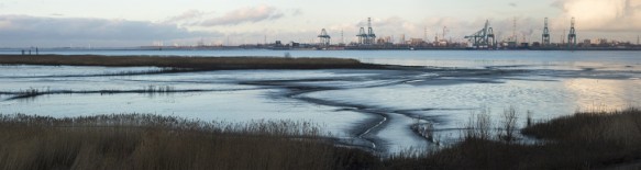 Slikken en schorren langs de Schelde