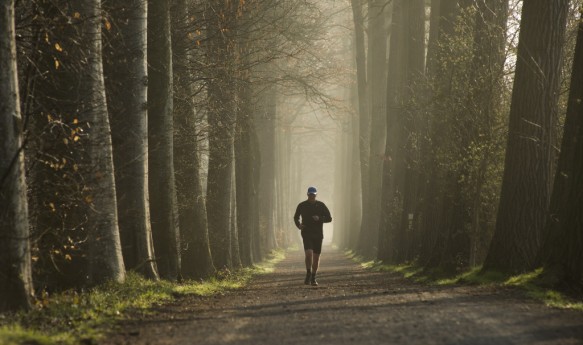 joggen in het bos.