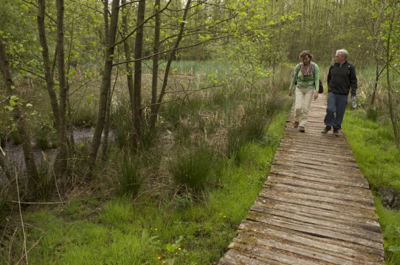 Wandelen in het Bulskampveld.