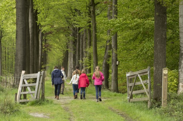 Wandelen in het Bulskampveld.