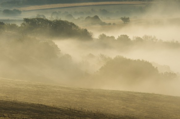 Rusenski Lom natuurgebied