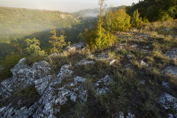 Rusenski Lom natuurgebied