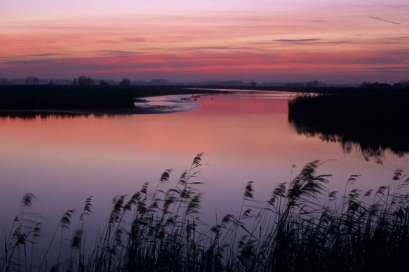 Sint-Kruiskreek