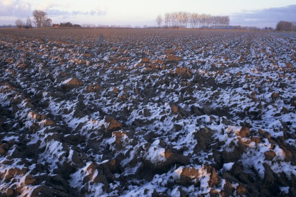 Zeeuwse polders