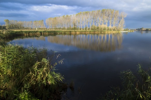 Hollandersgatkreek.