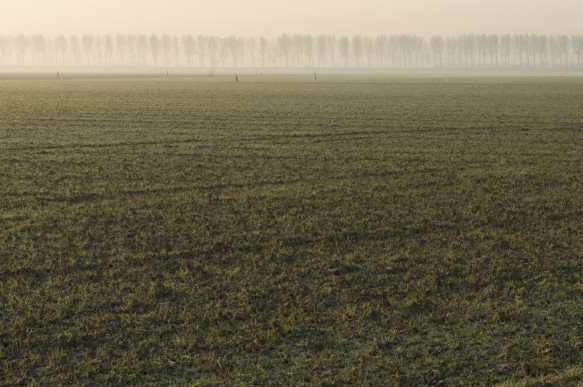 Arenbergpolder