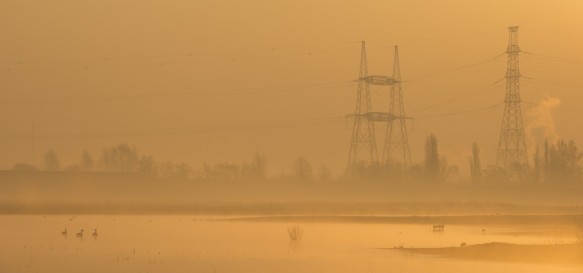 Doelpolder