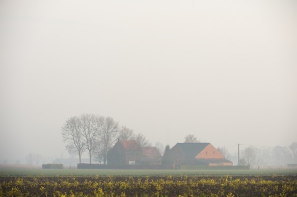 Boerderij in de polder