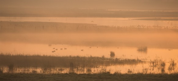 Doelpolder