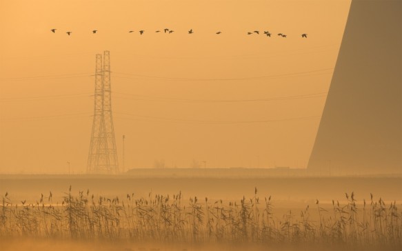 Doelpolder