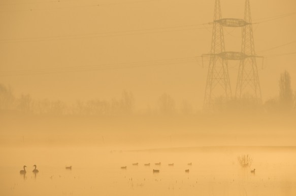 Doelpolder