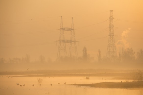 Doelpolder