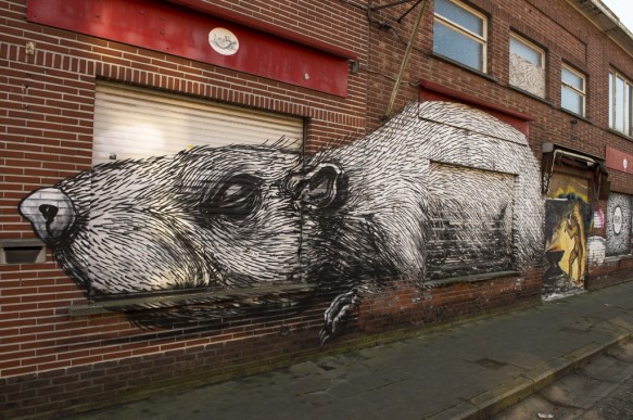 Graffiti van Roa te Doel.