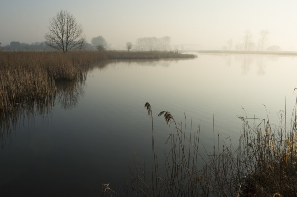 Kreek te Kieldrecht.