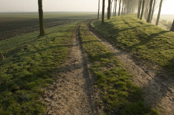 Pillendijk.