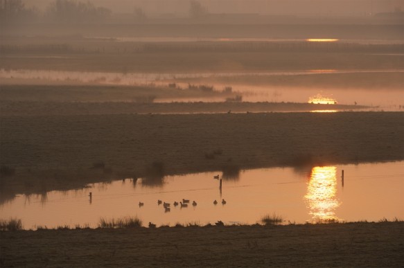Doelpolder