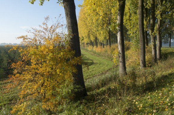 Noorddijk
