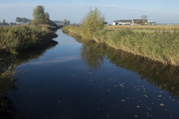 Leopoldkanaal