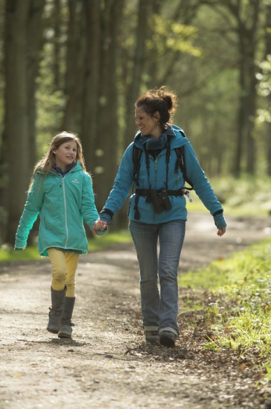 Wandelen in het Stropersbos