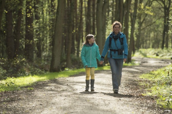 Wandelen in het Stropersbos