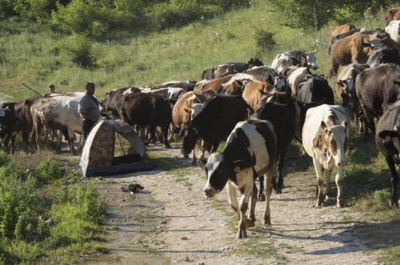 Bulgarije
