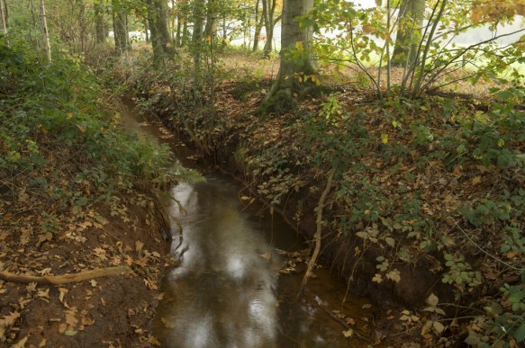beek in de Vaanders