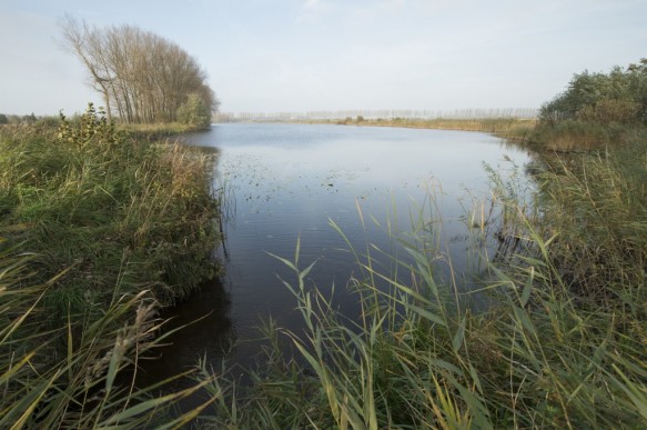 Kreek te Moerbeke