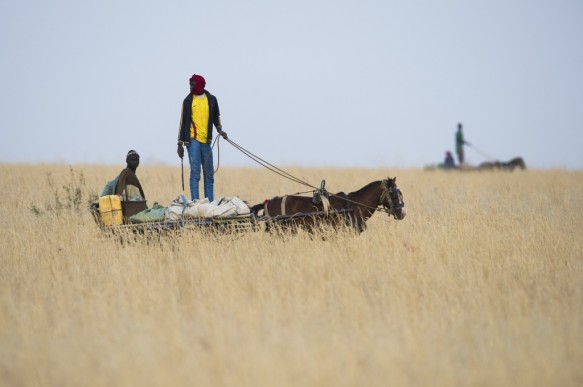 Met paard en kar als vervoermiddel te Senegal.